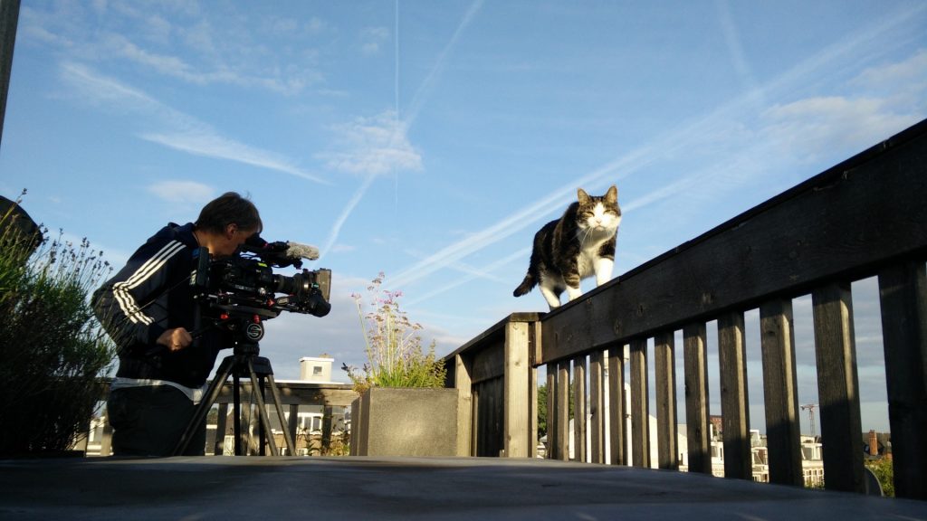 Sabine van der Helm runt castingbureau Catvertise: ‘Ik neem mijn katten mee de tram in’