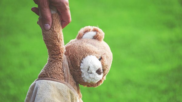 teddybeer