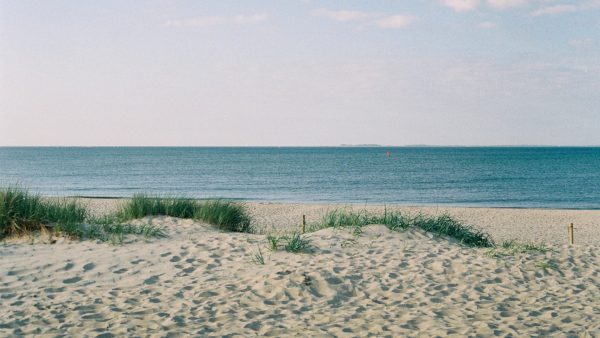 Lichaam vermiste jongen (15) gevonden bij strand van Monster