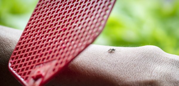 Doorslapen of doorslaan: welk 'muggentype' ben jij?