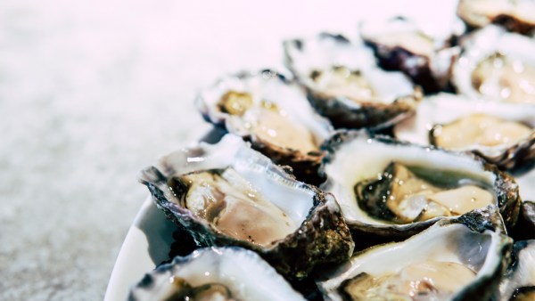 Troebel water op Texel door massaal klaarkomende oesters