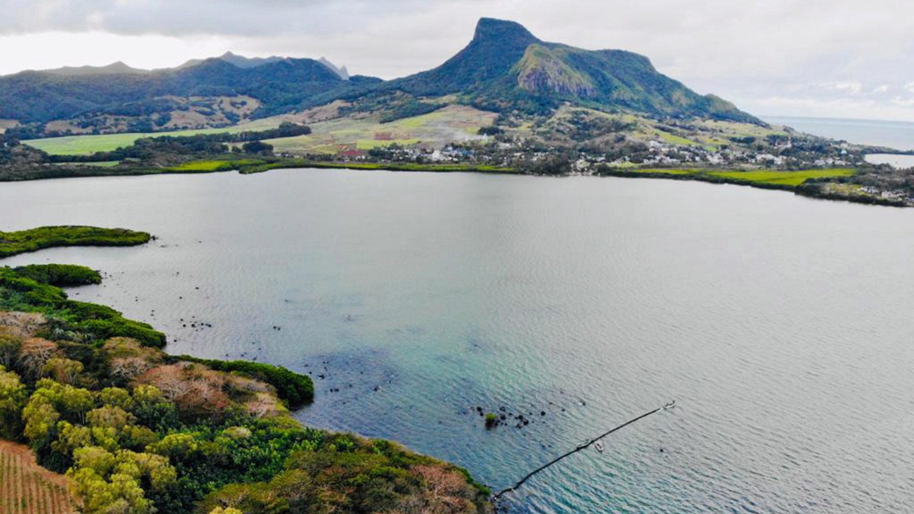 Mensenhaar moet milieuramp Mauritius minimaliseren