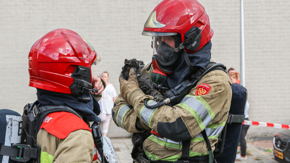 Buren redden vrouw en kinderen bij woningbrand, katten aan 't zuurstof