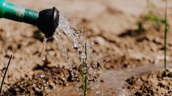 nederlandse natuur bedroevend slecht