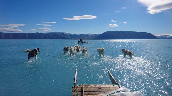 In 5500 jaar nog nooit zo weinig ijs in Beringzee