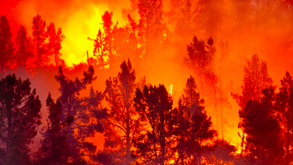 Gouverneur Californië roept noodtoestand uit vanwege bosbranden