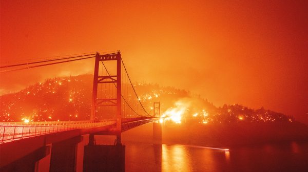 Westen van Verenigde Staten geteisterd door bosbranden