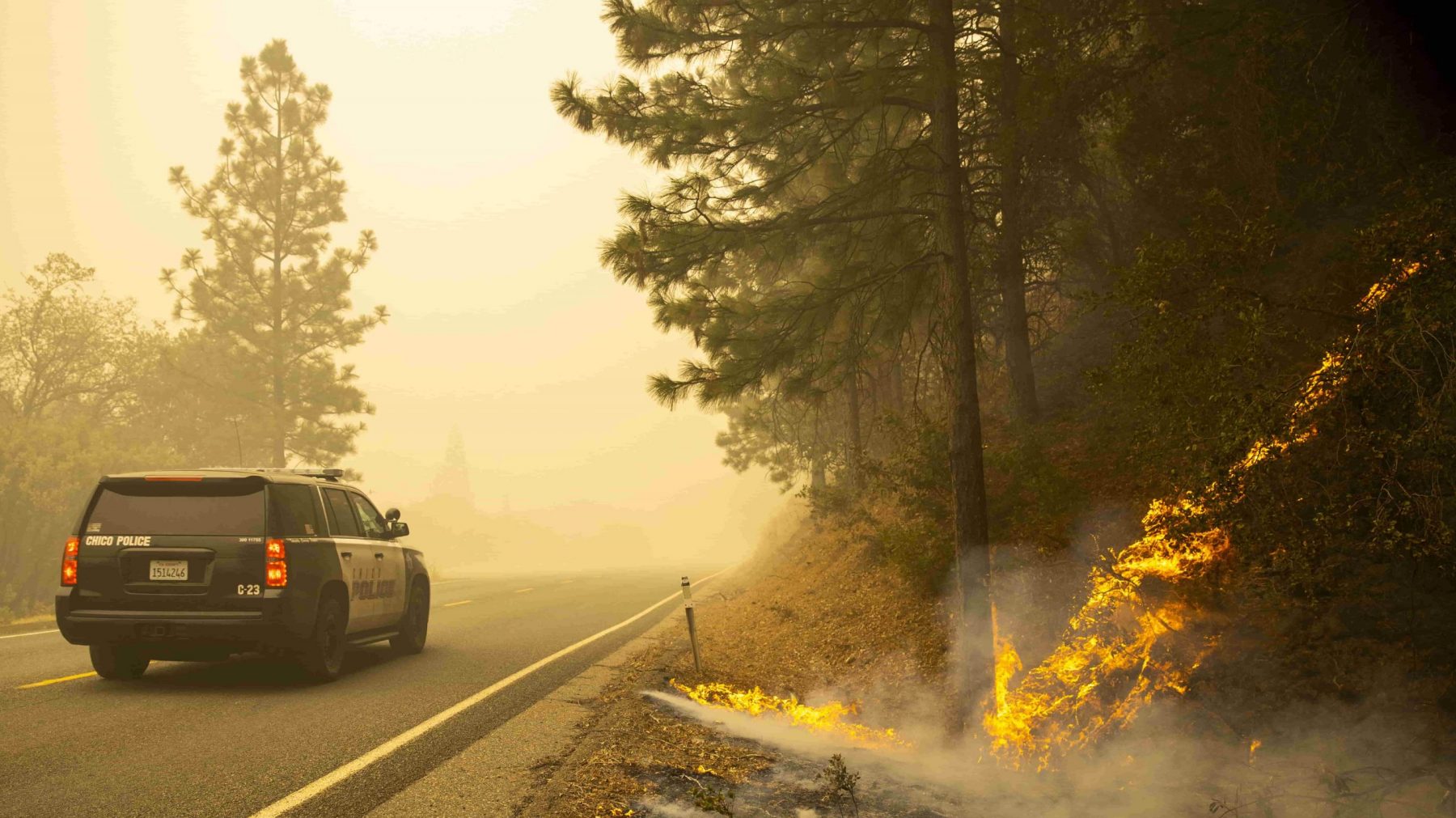 natuurbranden brand californie amerika vs