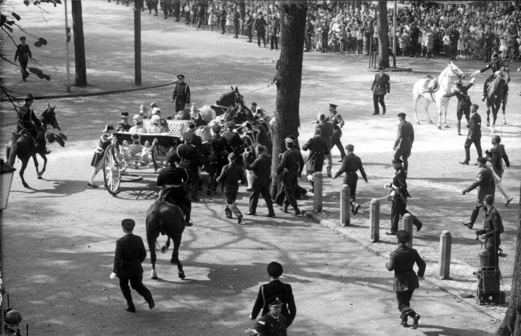 Paarden op hol 1963