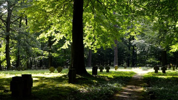 Groen de grond in: x ecologisch verantwoorde opties voor een uitvaart