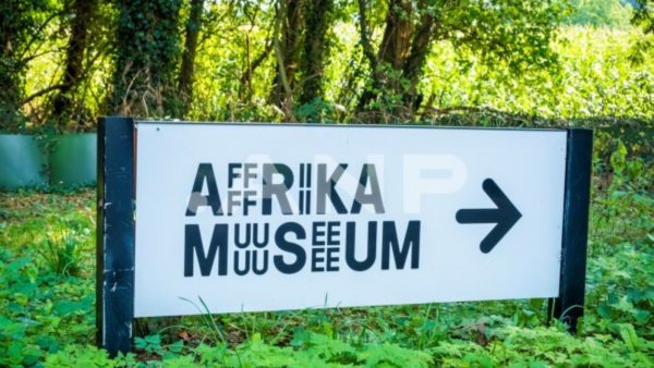 Vrijgelaten activisten die ‘roofkunst’ stalen uit Afrika Museum: 'We komen terug'