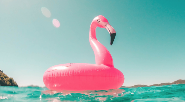 zomer vakantie unsplash