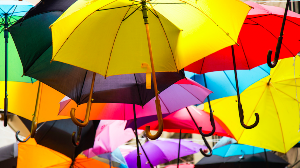 Regen, kou en coupe wind: het wordt nu toch écht herfst