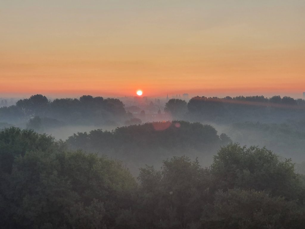 MIST in Nederland