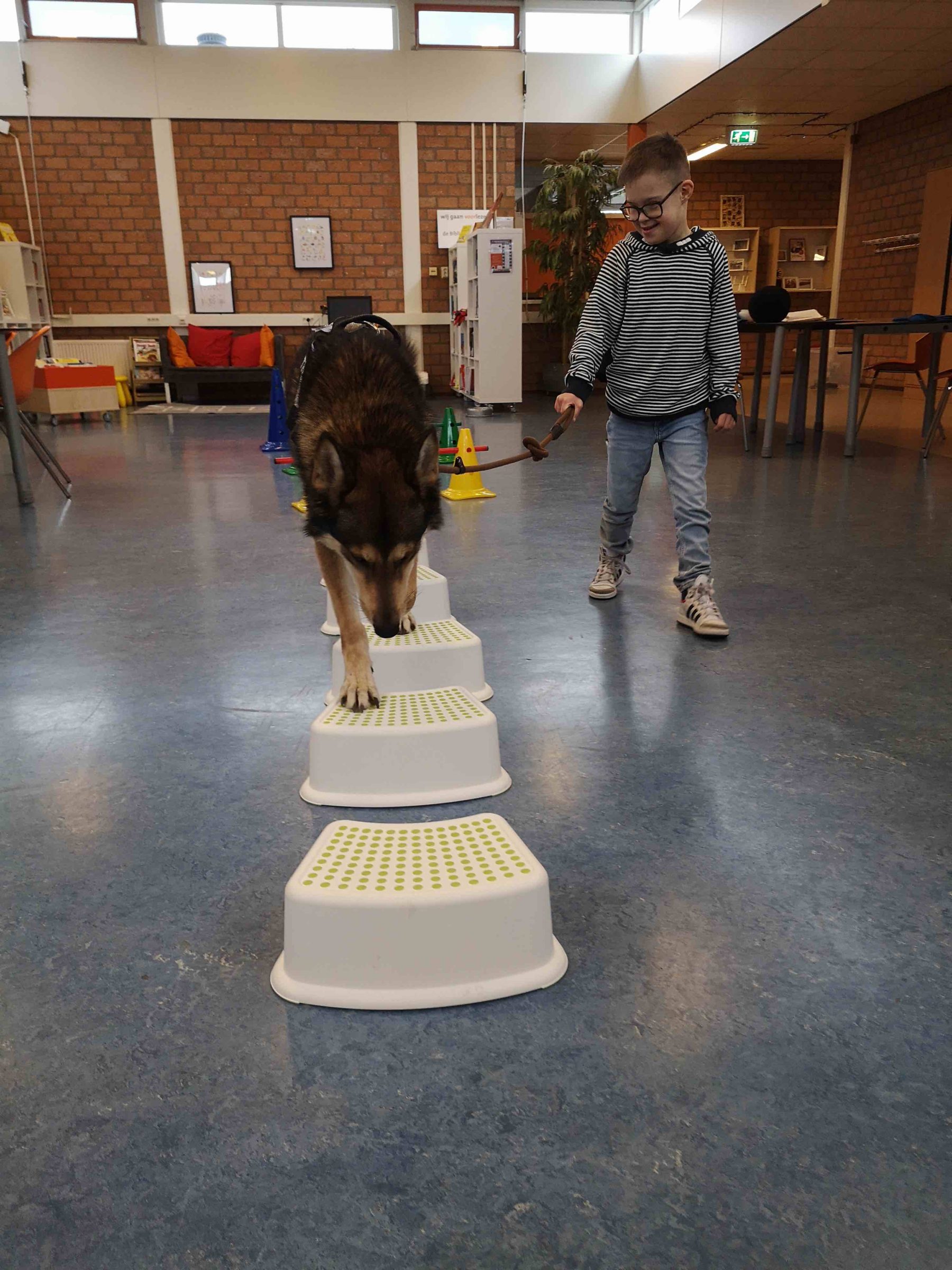 Denise Dekker geeft hondentherapie met Bandit en Shadow - LINDA.nl