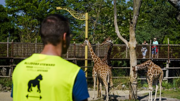 diergaarde blijdorp rotterdam red