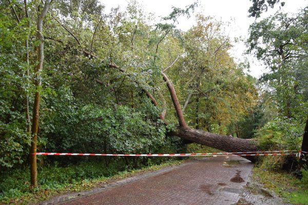 Storm Odette