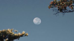 Thumbnail voor 28 maart volle maan: hoe de maan verband kan houden met je menstruatie