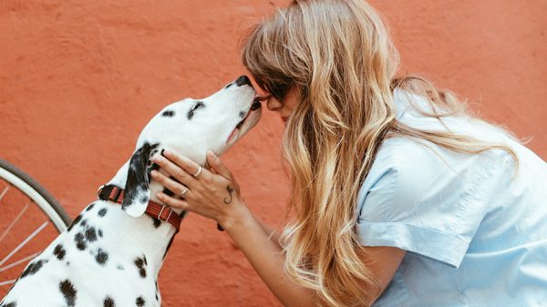 Jouw liefde laat het hart van jouw hond - letterlijk - harder kloppen