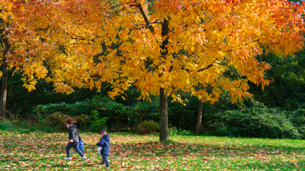 herfstweer