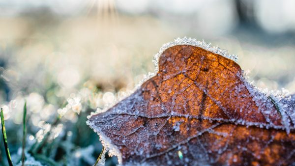 vorst najaar twente gemeten koud winter najaar herfst