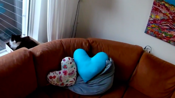 heart pillow
