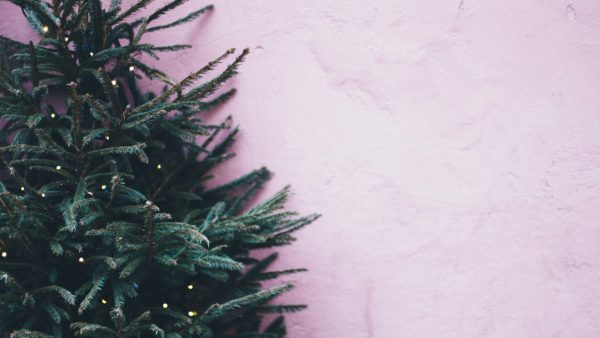 Mensen snakken naar gezelligheid en hamsteren (nu al) kerstbomen-2