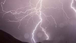 Thumbnail voor Boom in Rijswijk explodeert door bliksem en zorgt voor flinke ravage