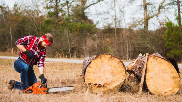 Man zaagt boom bomen om Unsplash