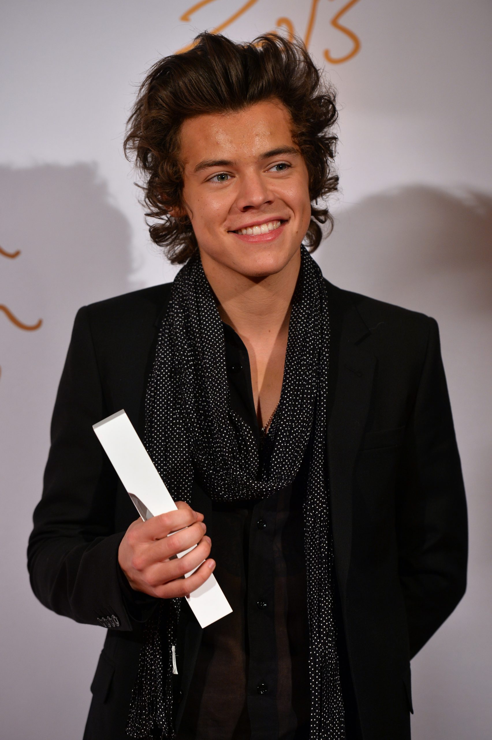 Harry 2013