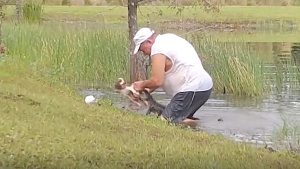 Thumbnail voor Man redt zonder blikken of blozen zijn hond uit de kaken van een alligator