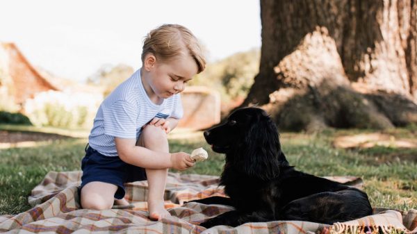 Prins William en gezin nemen afscheid van hond Lupo