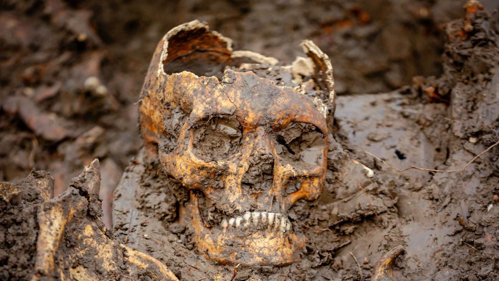 Al twintig skeletten gevonden in massagraf in Vianen