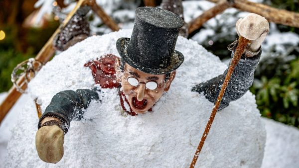 Ophef na beelden van hossende bezoekers in de Efteling