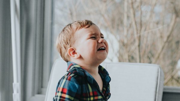 verwend met sinterklaas