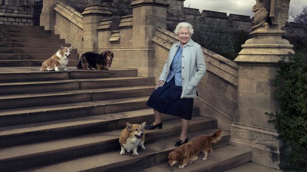 Koningin Elizabeth in diepe rouw om verlies trouwe viervoeter_