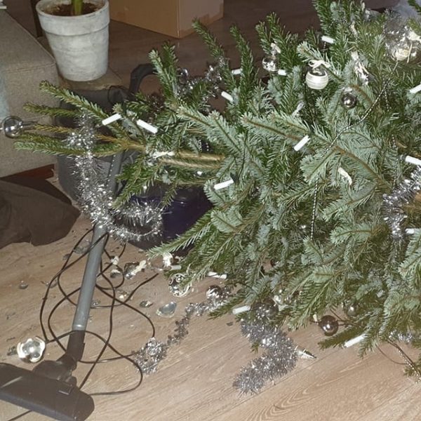 Kerst verhalen kerstboom