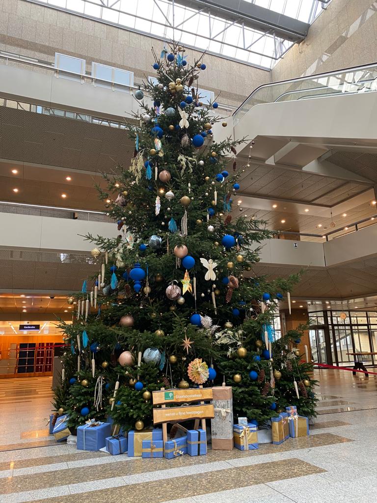 Kerstboom tweede kamer