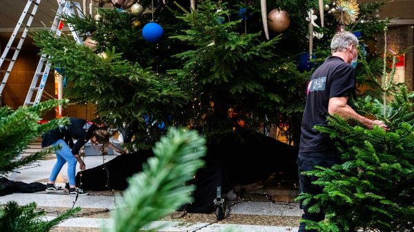 kerstboom tweede kamer