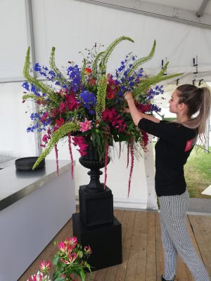 Arrangeur Sanne
