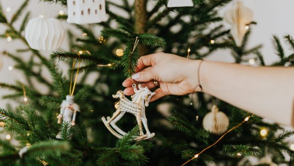 Krijgen we de kriebels van: in je kerstboom verschuilen zich tienduizenden insecten