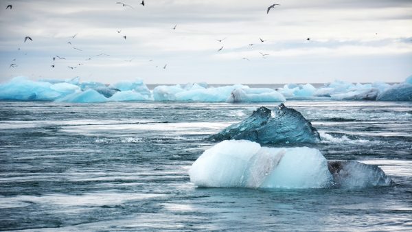 klimaatnoodtoestand