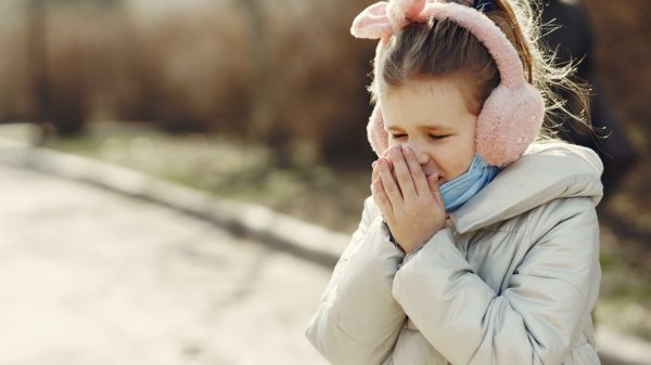 Hallo... Pollen? Mogelijk niezend aan het kerstdiner door zacht winterweer