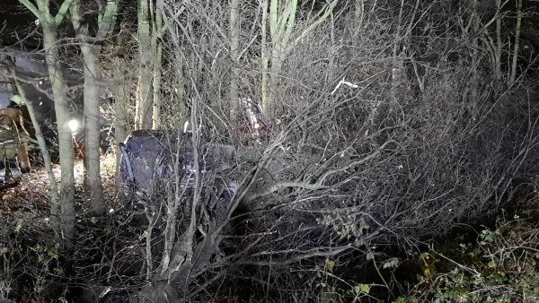 Gecrashte automobilist in struiken A59