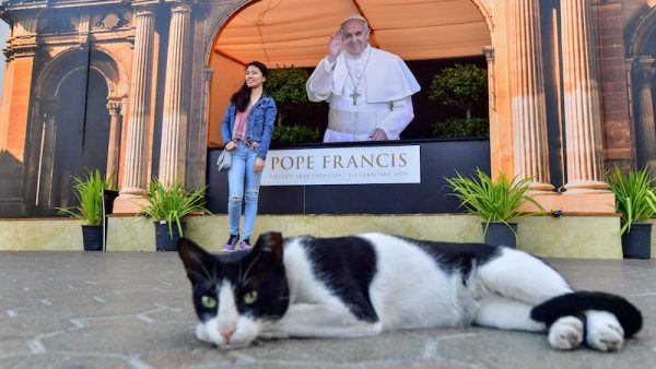 Huisdieren verboden Vaticaanstad