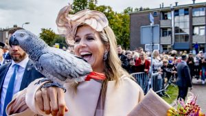 Thumbnail voor Werken voor de prinses of koning: je moet 24/7 oproepbaar zijn, maar wat schuift het?