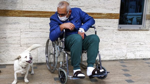 Hond Boncuk wacht dagenlang buiten ziekenhuis waar baasje ligt