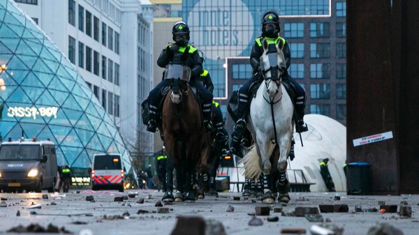 Politiepaard en agent die vielen tijdens Eindhovense rellen zijn ongedeerd_