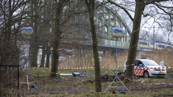 vader en zoons verdacht moor dof doodslag meisje Almelo