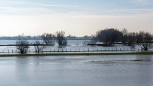 Thumbnail voor Zandzakken voor de deur: Rijkswaterstaat bereidt zich voor op hoogwatergolf